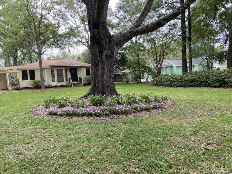 REDUCED 10K! Charming Cottage in Old Goodwood on beautiful half acre lot. 469 Finchley Ave